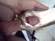 Click to see kostas’s pic Click to see kostas’s pic