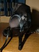 Click to see swrt’s pic Click to see swrt’s pic