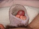 Click to see zool’s pic Click to see zool’s pic