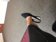 My latest muse Click to see sniffhershoes’s pic