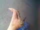 Click to see kawato’s pic Click to see kawato’s pic