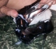 One hand taking pics the other holding her shoe as my cock kept cumming Click to see iltcos’s pic