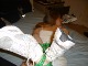 Click to see saskiaa’s pic Click to see saskiaa’s pic