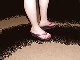 New Sandals Click to see loosemulelucy’s pic