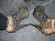 Muddy High heel clogs Click to see wamclog’s pic