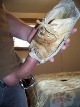 Click to see trashedshoe’s pic Click to see trashedshoe’s pic