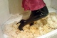 walking thru wet sponge Click to see morq’s pic