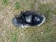 Click to see vsto’s pic Click to see vsto’s pic