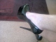 Click to see sexyhighheellover’s pic Click to see sexyhighheellover’s pic