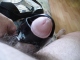 GEO 25 Click to see venant’s pic