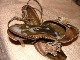 Click to see endre’s pic Click to see endre’s pic