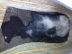 My wife's used shoe Click to see belabana’s pic