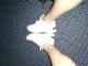 Click to see allin9775’s pic