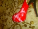 i love my wife Click to see kozacka’s pic