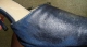 Licked the blue suede until it was soaking wet again. This is for my next project. Click to see shuz2trash’s pic