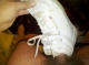 Click to see Reefan1981’s pic Click to see Reefan1981’s pic