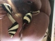 Click to see 72772777’s pic